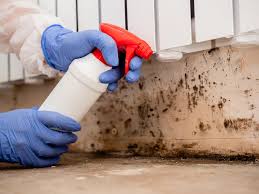 Franklin Furnace, OH Mold Removal Services Company